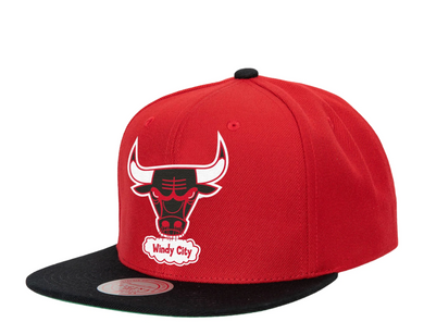 CHICAGO BULLS