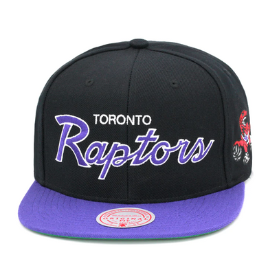 TORONTO RAPTORS