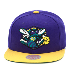 CHARLOTTE HORNETS