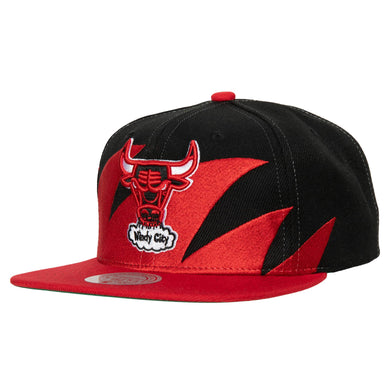 CHICAGO BULLS