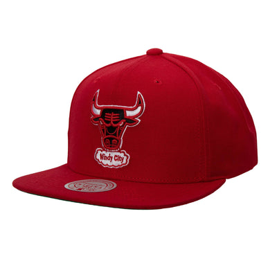 CHICAGO BULLS